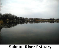 Salmon River Estuary