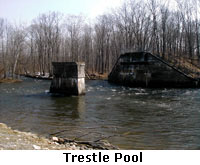 Tressle Pool